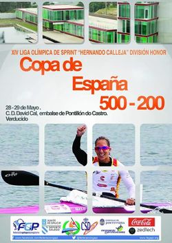 CARTEL COPA DE E. 500-2016.jpg