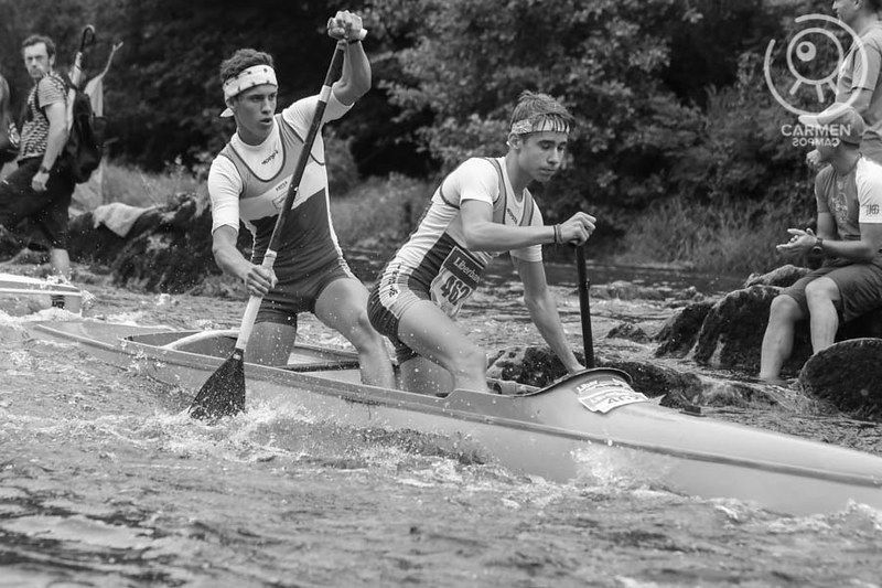 Archivo:Sella 462 del 2017 A.jpg