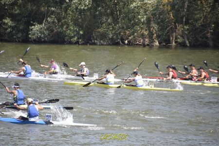 VII Campeonato de España de Maratón Corto LSD.jpg