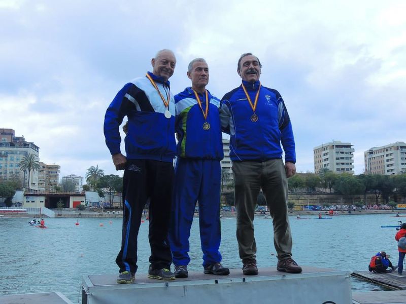 Archivo:MEDALLA DE ORO (número 468.jpg